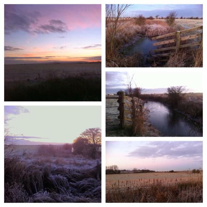 cliffe-marshes-on-a-cold-and-frosty-morning-farthing-wall